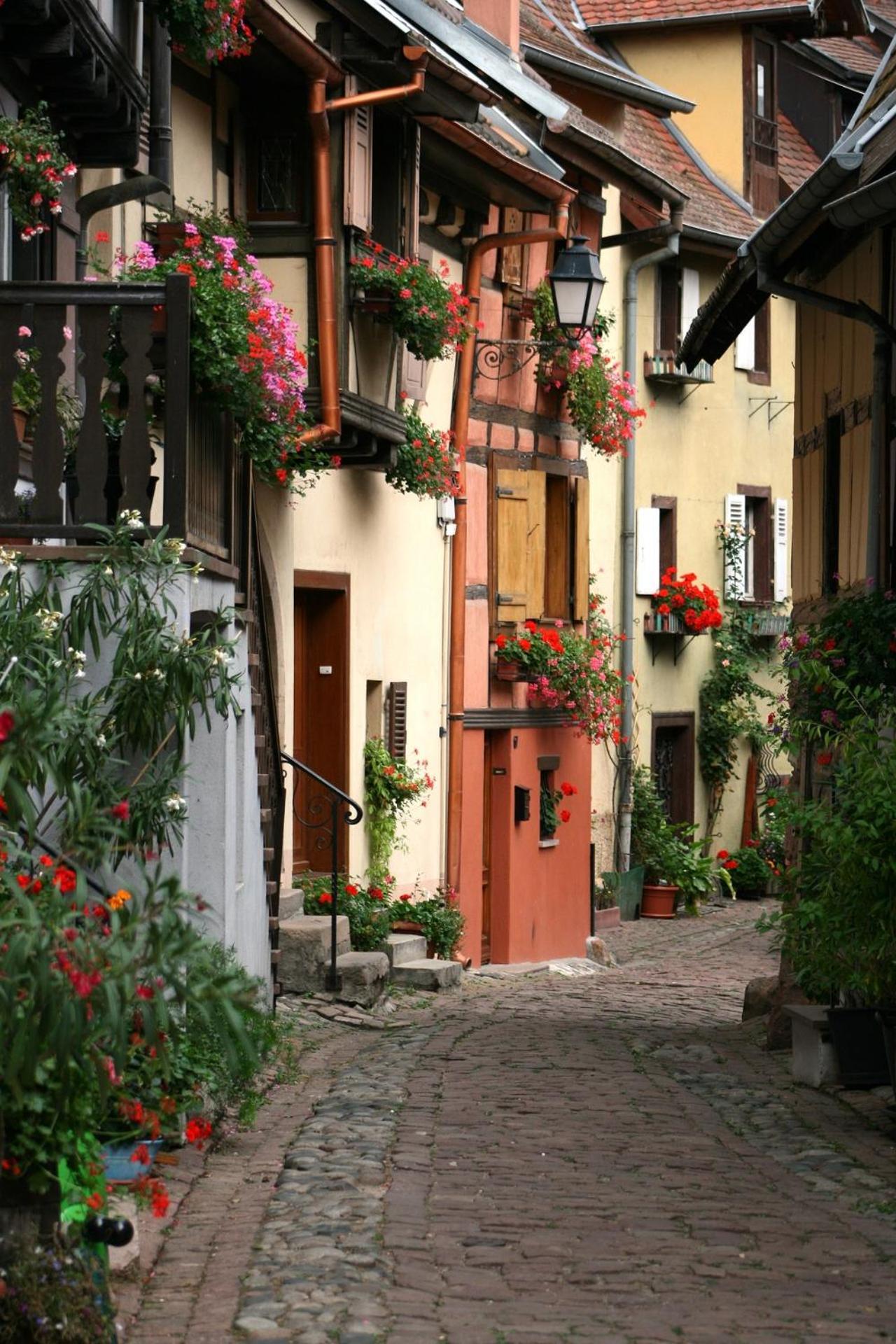 Gite Traditionnel Au Centre Historique D'Eguisheim Exterior photo